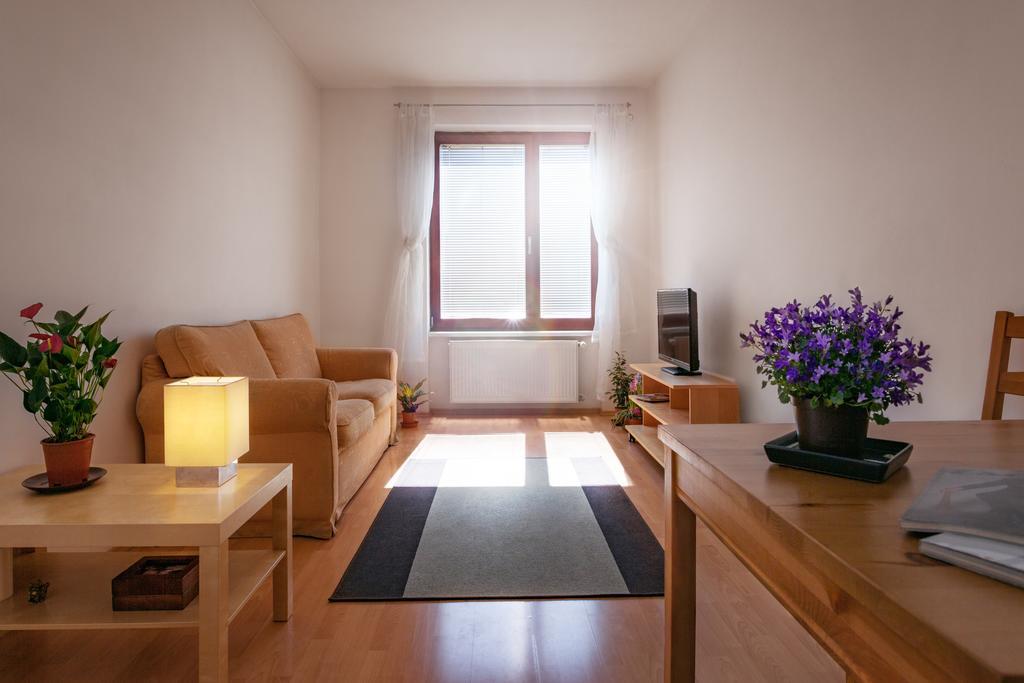 Apartment Downtown Apartments Kozatska